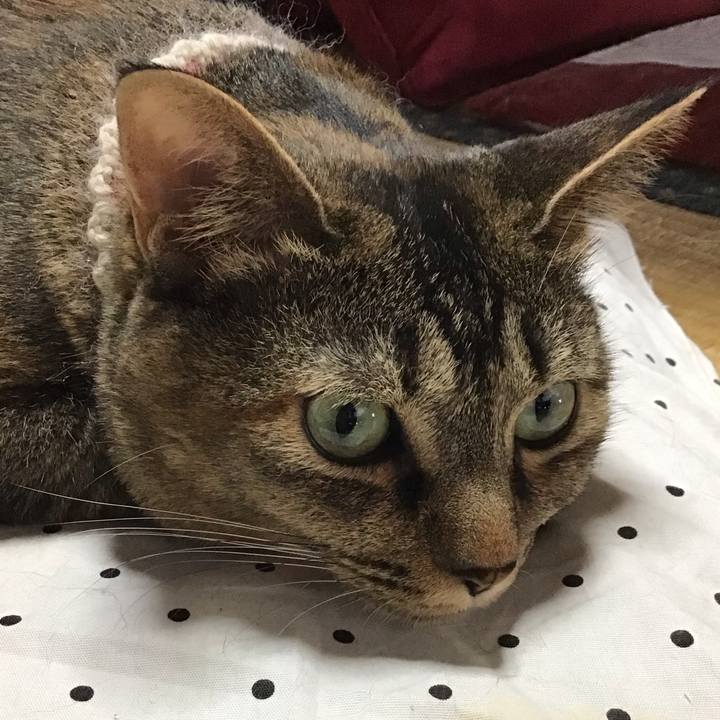 6daa5e63 af31 4306 bcda 17b61651e720 1659168182865