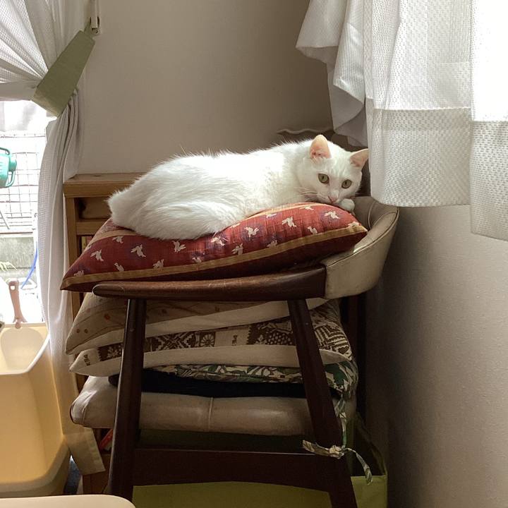 6daa6694 2756 47e9 9d7a 6e2a318e4168 1658463533902