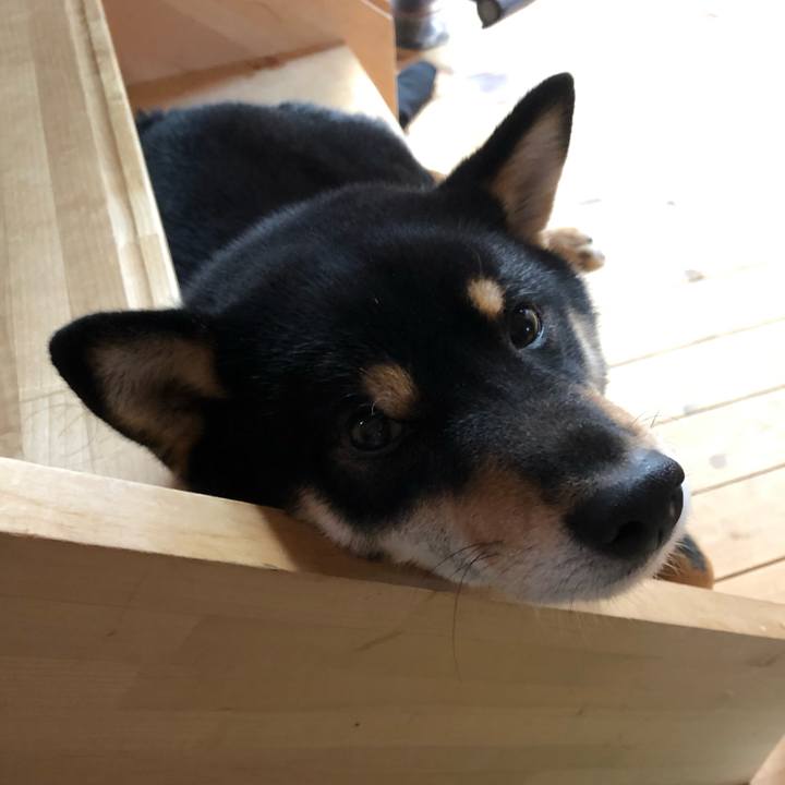 6daa6c0c 72ca 4bfe 8502 5e59a27bbd91 1554953168162