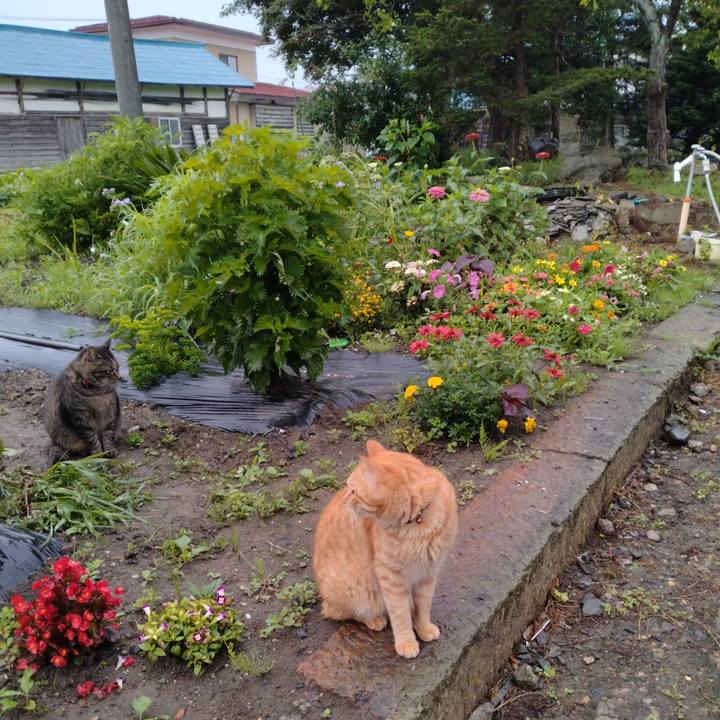 6daacaea fab2 4a18 9e2e 502458da8383 1689380771541