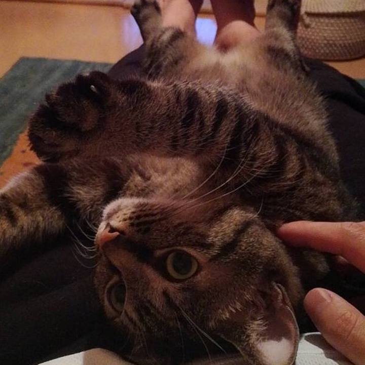 6daaf4c4 34d0 4665 83fa 95874a396e19 1532410919605