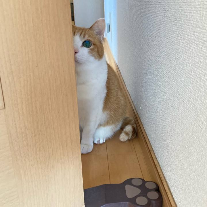 6dab0f42 63f1 4f3d 823a 34c83e3a2dc5 1776575272922