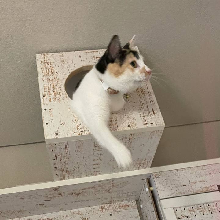 6dab2539 751b 46fa b6f6 d77739f6a6d8 1691662875854