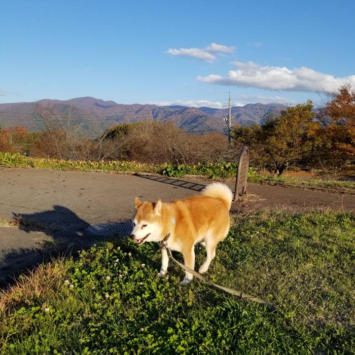 6dab4bc2 7960 4f38 a366 e6a59ce3de4f 1636180927886