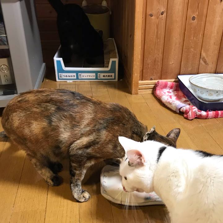 6dab65ce 58d2 41d2 8171 c4f92e2b28c1 1646303349160