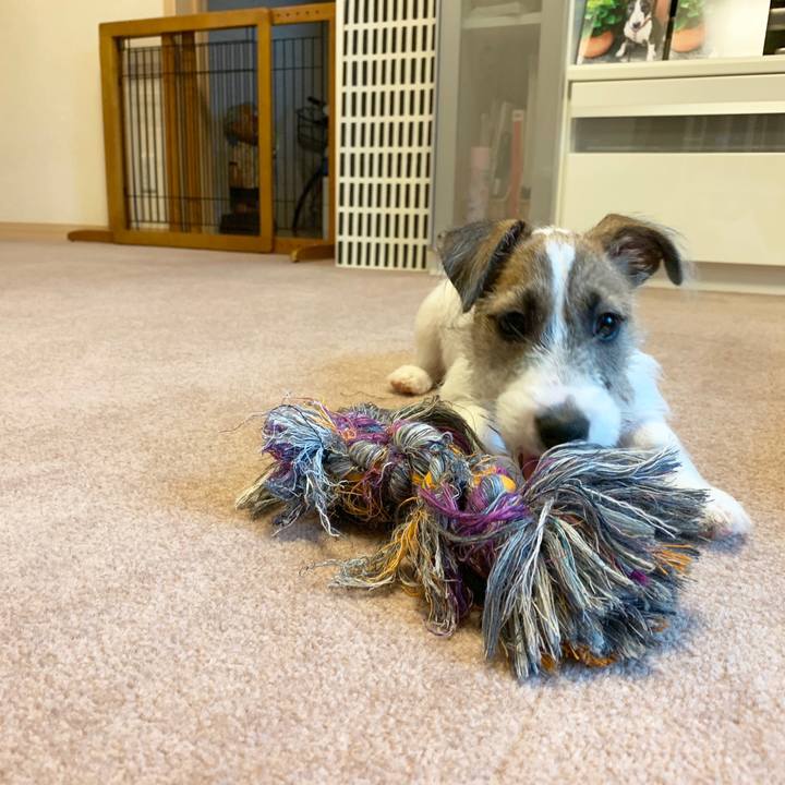 6dabc9c6 cf71 4311 bec0 27d09e257ec1 1562408097184