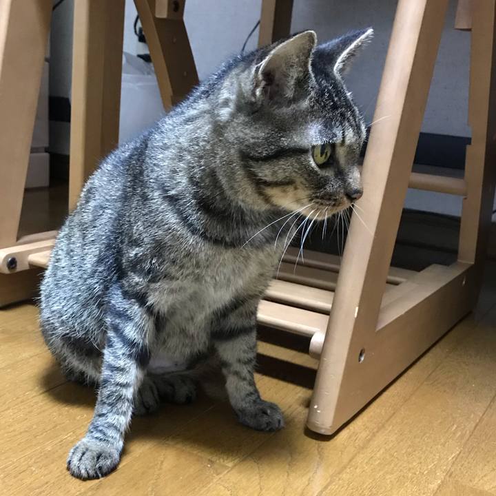 6dabedd6 3ef9 42d1 abdc 6f491391c3d8 1541408920296