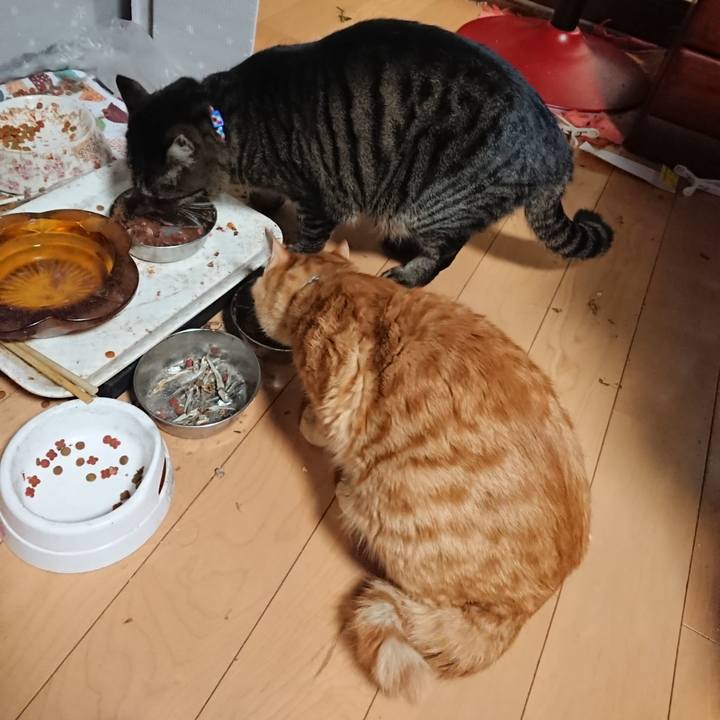 6dabf61b e633 48d4 b854 df272f852a79 1641985298790