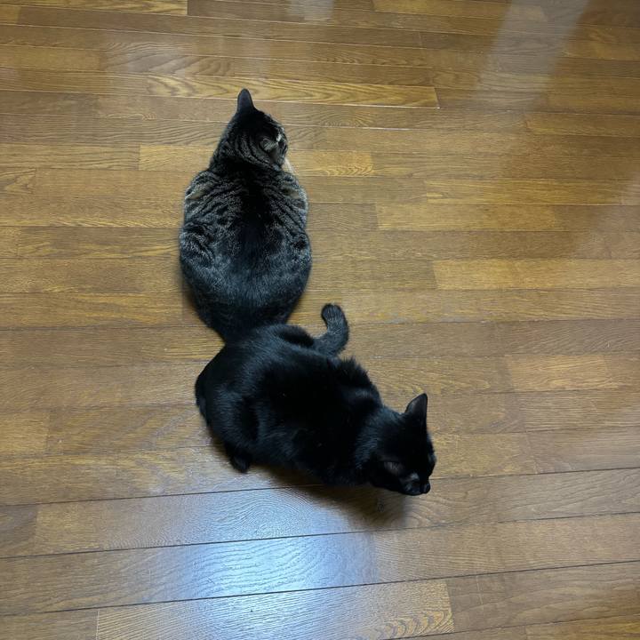 6dabf6f0 31db 415e a92f 8da6091958d6 1712666514278