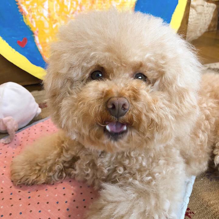 6dac0087 c374 4a67 99a5 80712b1dfbb8 1529053461608