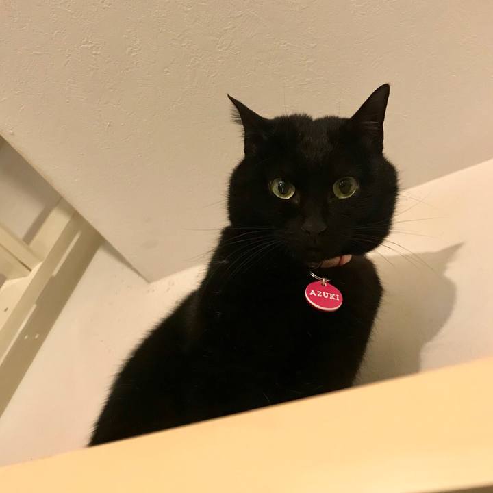 6dac0ab5 b2ee 4004 a550 215da71ee00f 1550227033775