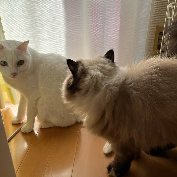 6dac1645 0a06 412d afca 120eb7d44ffe 1668829945638