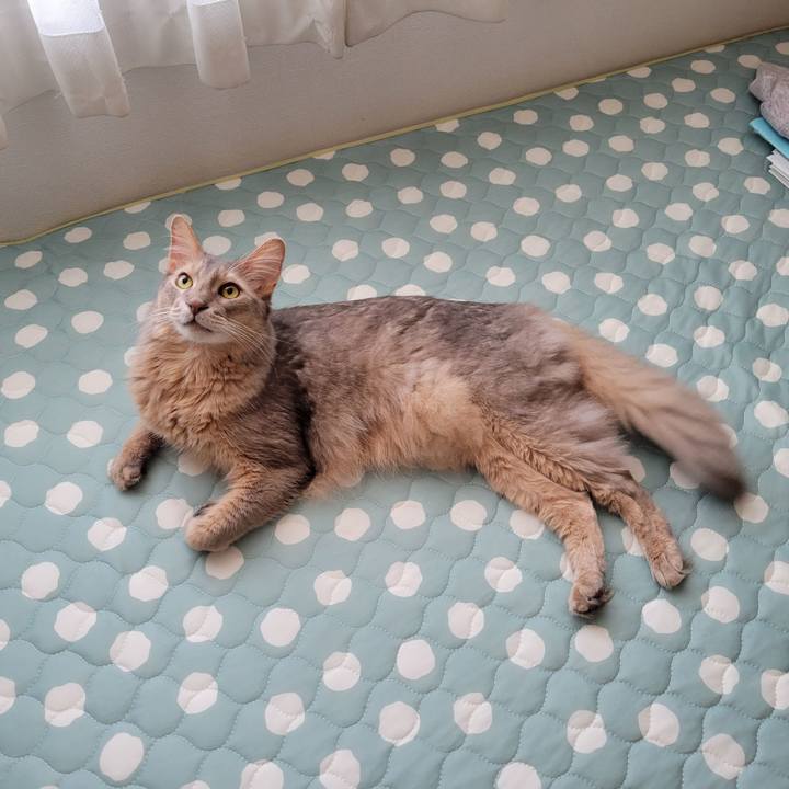 6dac1b04 65fe 4cac a0d8 91116a67461a 1628077976321