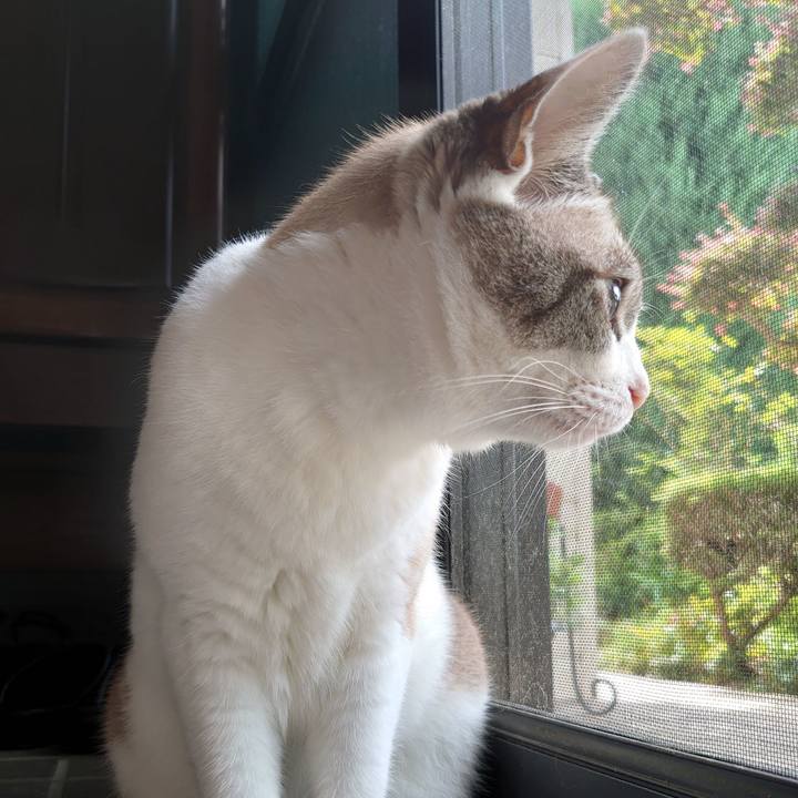 6dac2b22 f26e 4085 a9c6 f7ecdd79a504 1628994016124