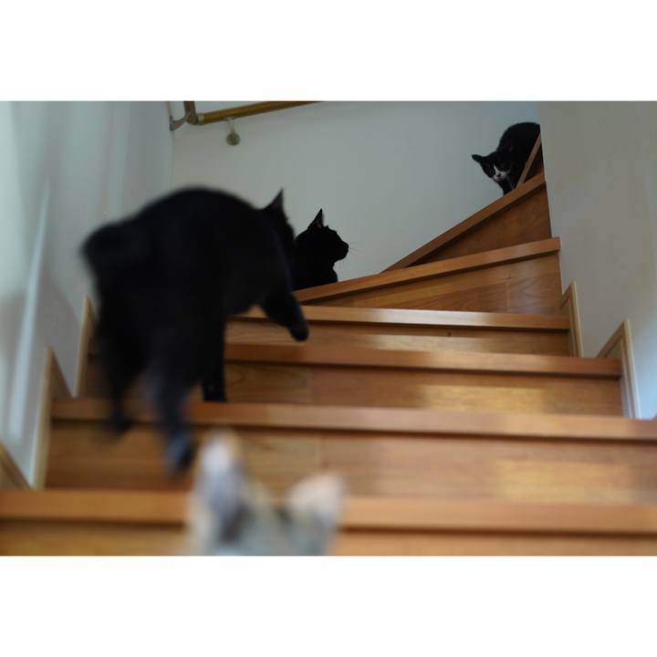 6dac5b74 2b2f 4565 8dc3 d7ed31ddbb28 1569282910242