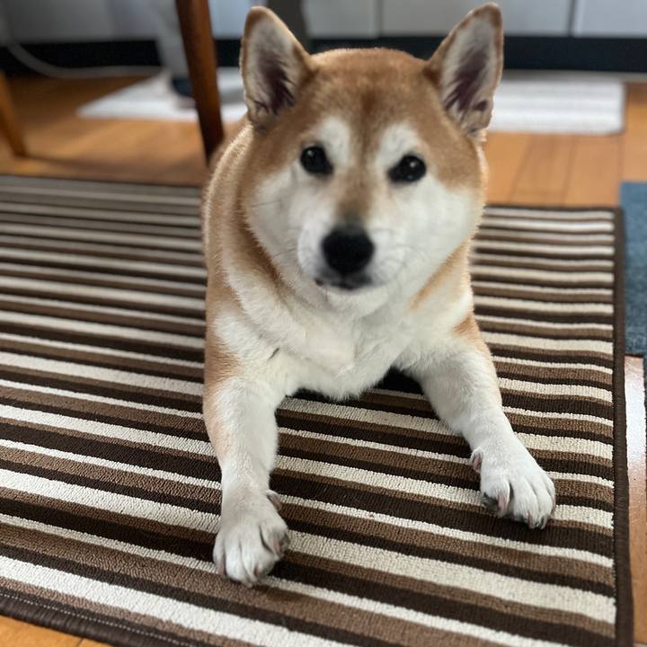 6dac7213 34d4 4c68 8cd0 ac76446c090a 1702352016329