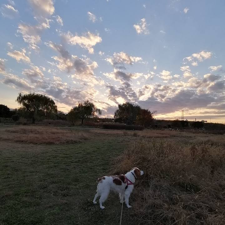 6daca7cb 096a 469a 8ddc 1261b9d96c12 1607686844903