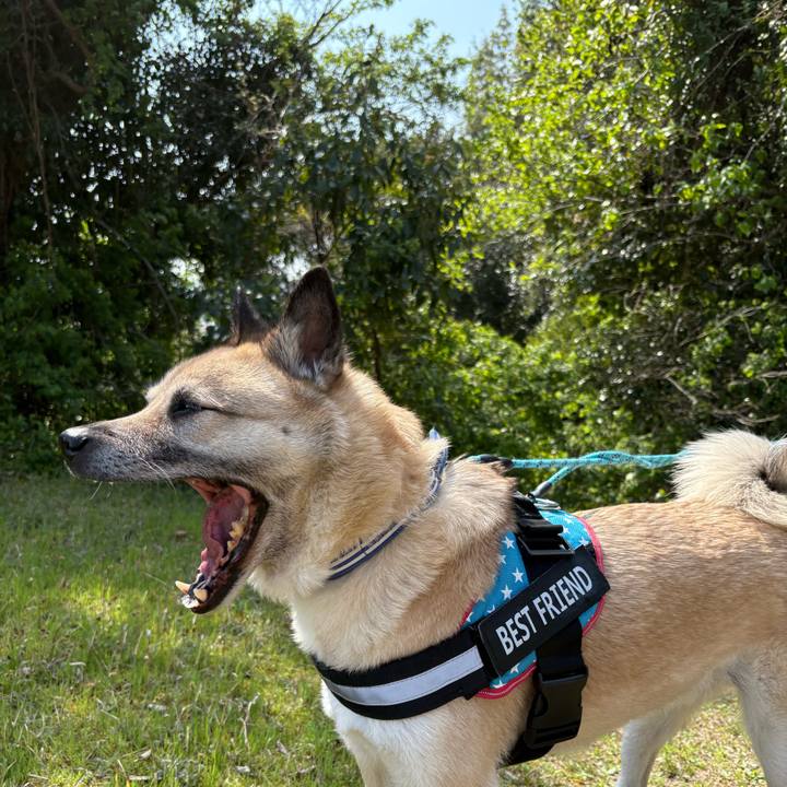 6dacc904 107b 47a7 8973 997fa870a2d3 1743926542841