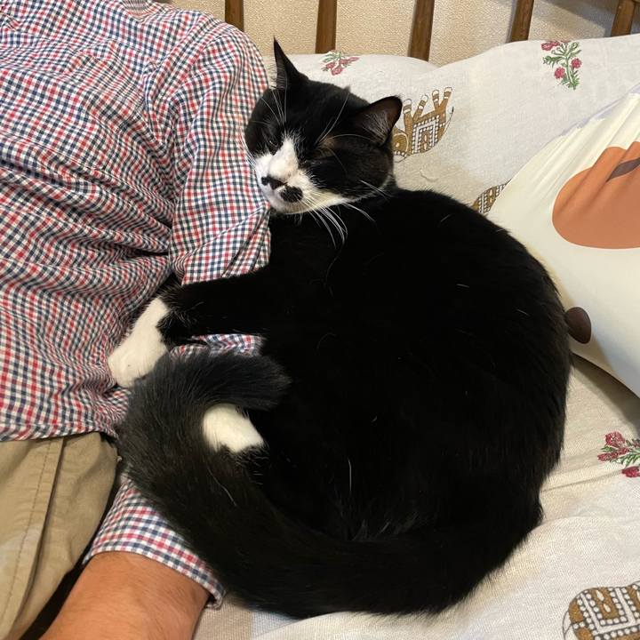 6dad1797 56d7 4cce 98f1 66ef687f459f 1729773888793