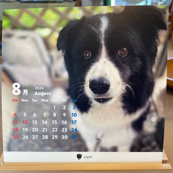 6dad3b8c f37a 453e 9bad efae785c703a 1722457891465