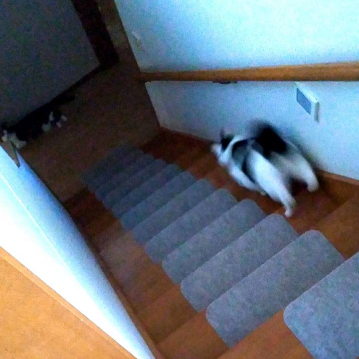 6dad494a 1b7f 4aa7 a8f7 9f0abc754595 1531825963059