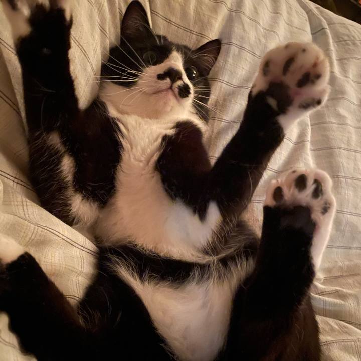 6dad4f53 d5bb 46da 8043 fa12af64c6fe 1650638943443