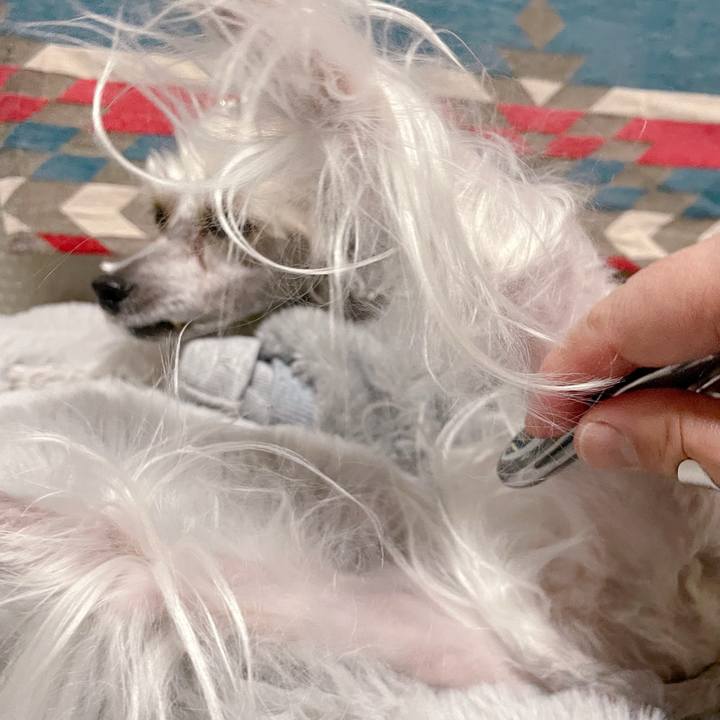 6dadaa80 7505 417f 8d6e 163e636f83e7 1770104346453