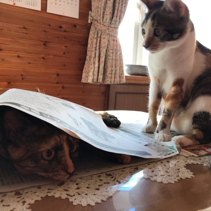 6dadb3ec ff26 4efc 96ed 87f378f7cfe2 1630445735109