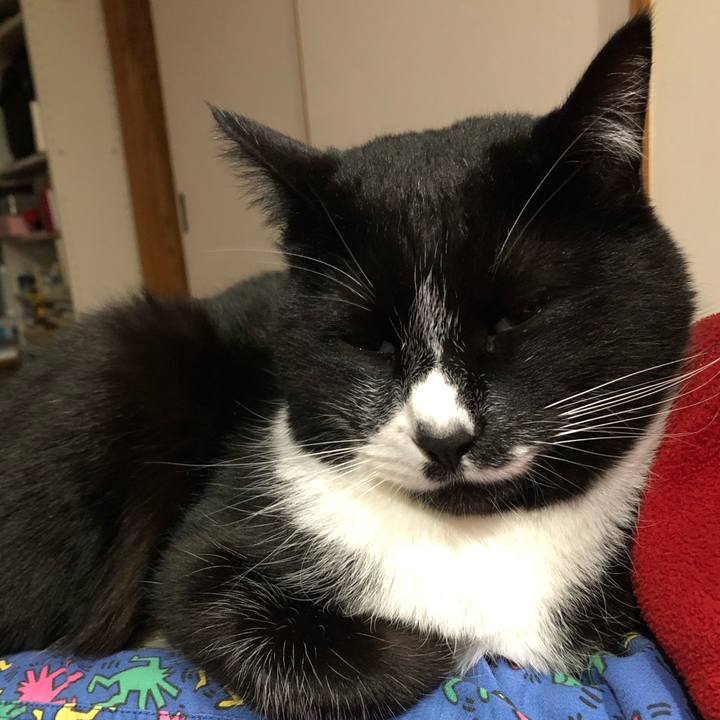 6dadba9d 27c2 4318 87f8 4ce54c4dd845 1583379771215