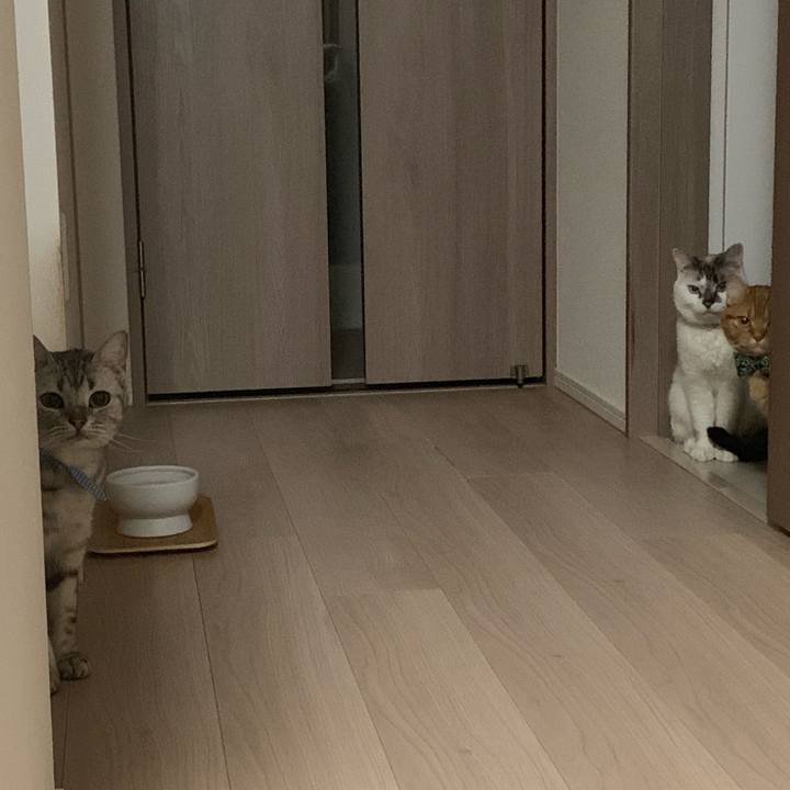 6dadd450 0c6d 4019 a4af ebe9cf1a6e69 1562758935255