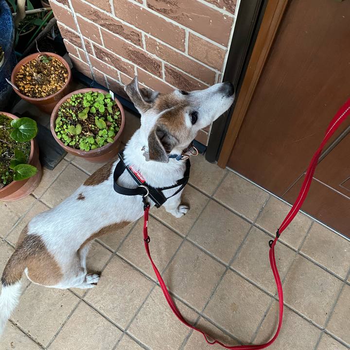 6dadd520 aa4b 467e 9ce9 684ad55ef59b 1612391868611