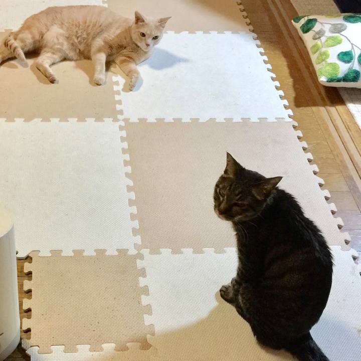 6dade2c6 681b 43a3 b1d7 4e014e105c69 1533584534664