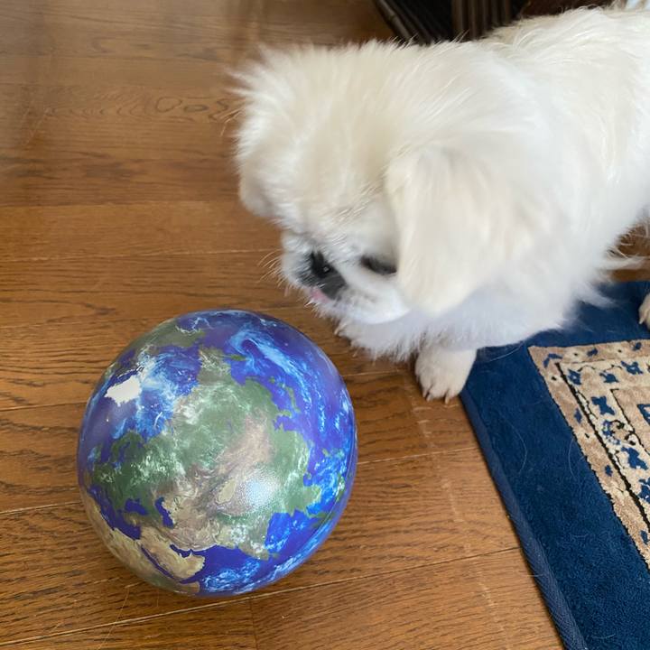 6dadf5d4 12a5 477d 8c79 59255009e490 1605756098791