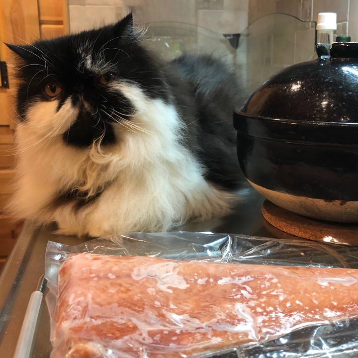 6dae07bf b84d 483c 9ca5 d565fcfb745d 1546847432574