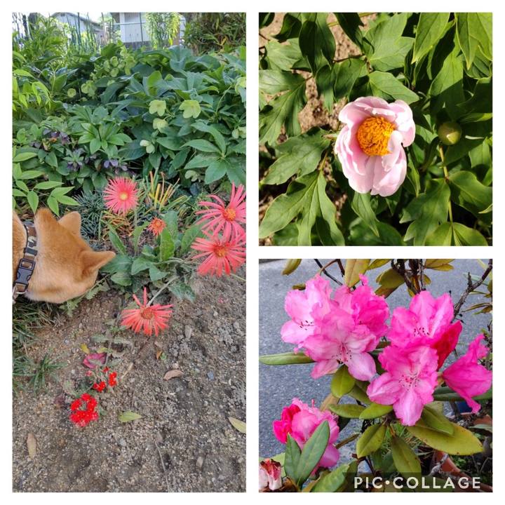 6dae31e4 9647 4990 ba1f fb2a25ad7c35 1651568439554