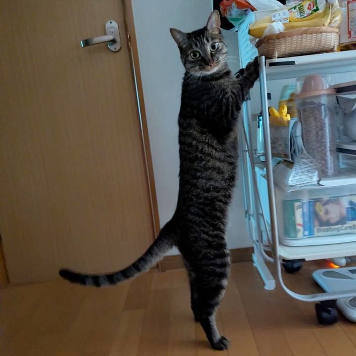 6dae3fc3 412d 4c61 a720 28828848626d 1772273971253