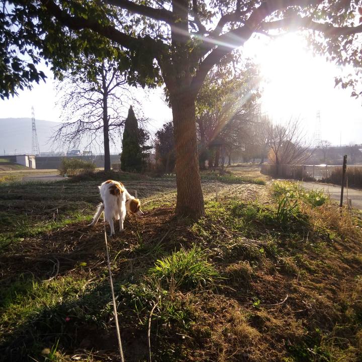 6dae6eef 34bb 4214 96a1 43968e6cbab3 1520124611532