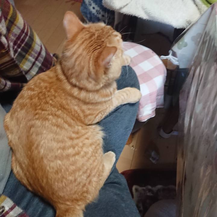 6daeb221 24d1 4289 8128 641a25abc1b7 1648089444360