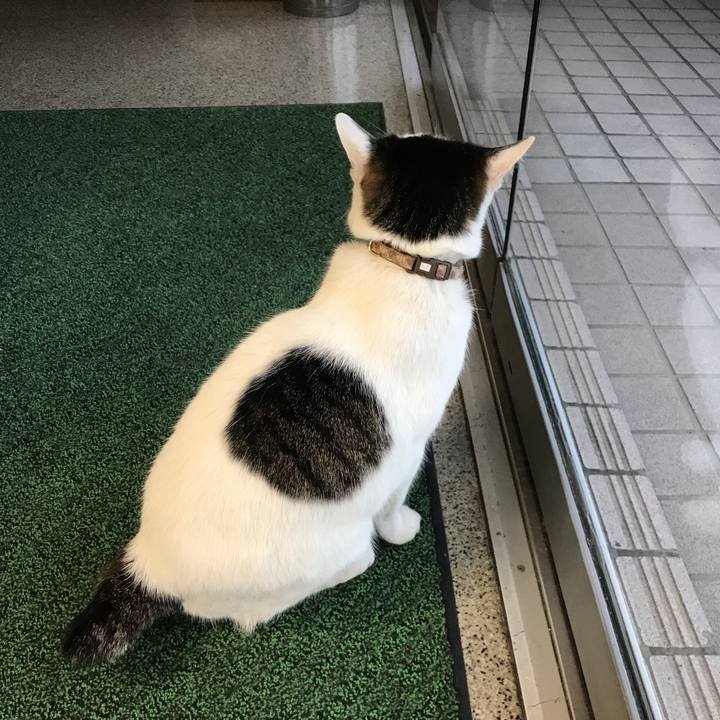 6daee862 19ea 4fa0 9d6e 1e0e82d04c7b 1519373789716