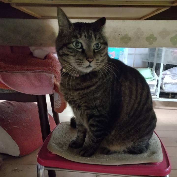 6daef2cf 4862 4bb9 aea2 58f4f9317824 1713431492431