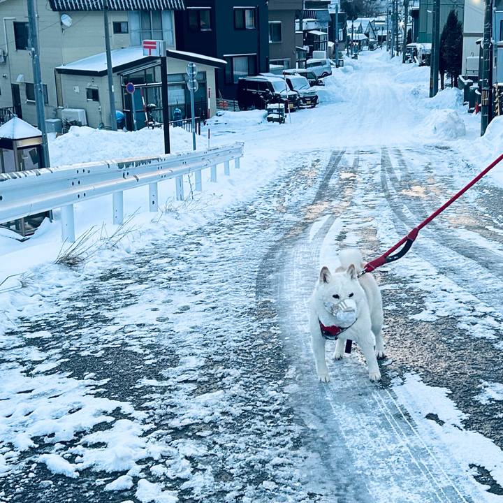 6daf234f c632 4487 812b 29e7adf9130c 1766792786385