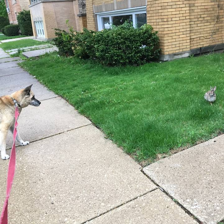 6daf384c fecd 4626 94b1 21d16e93d3f3 1526144069237