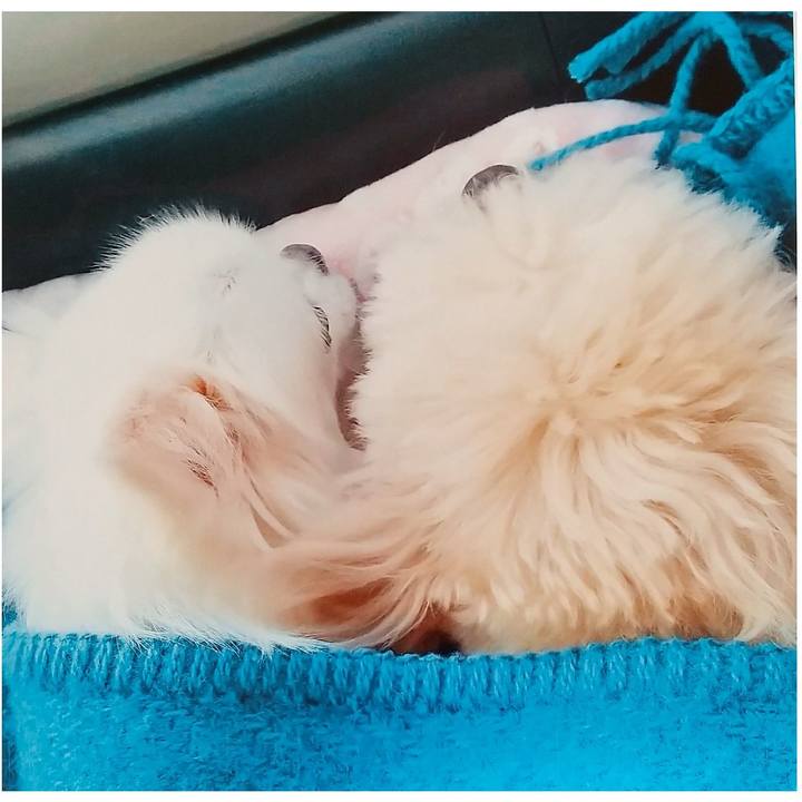 6daf5cf3 5448 4a88 ad4b 0d0c4160e26e 1670031788965