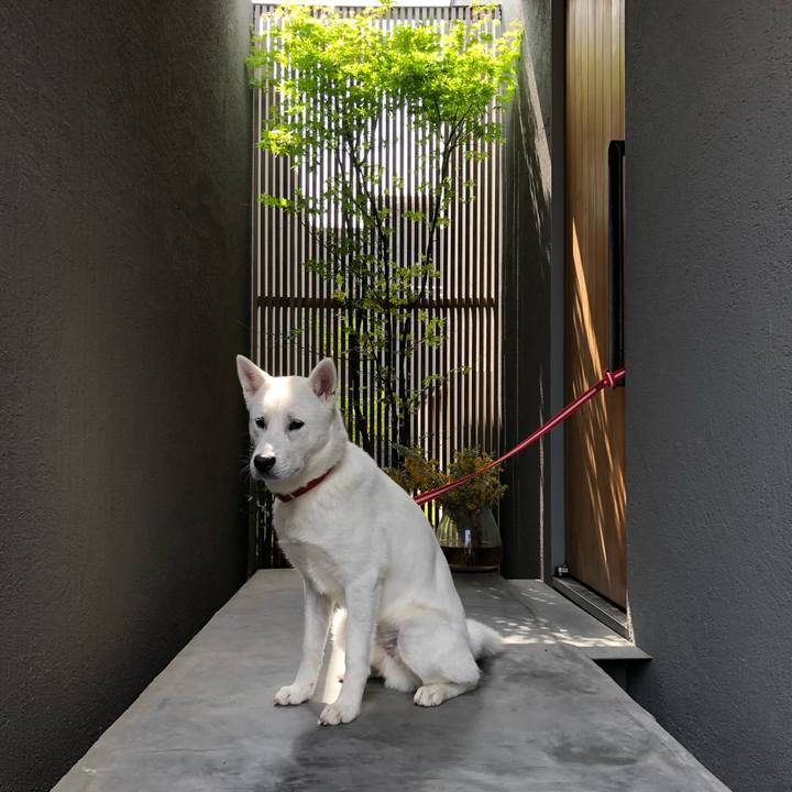 6daf6cff 7a51 4796 aee8 b031d9fc5c2b 1522687099563