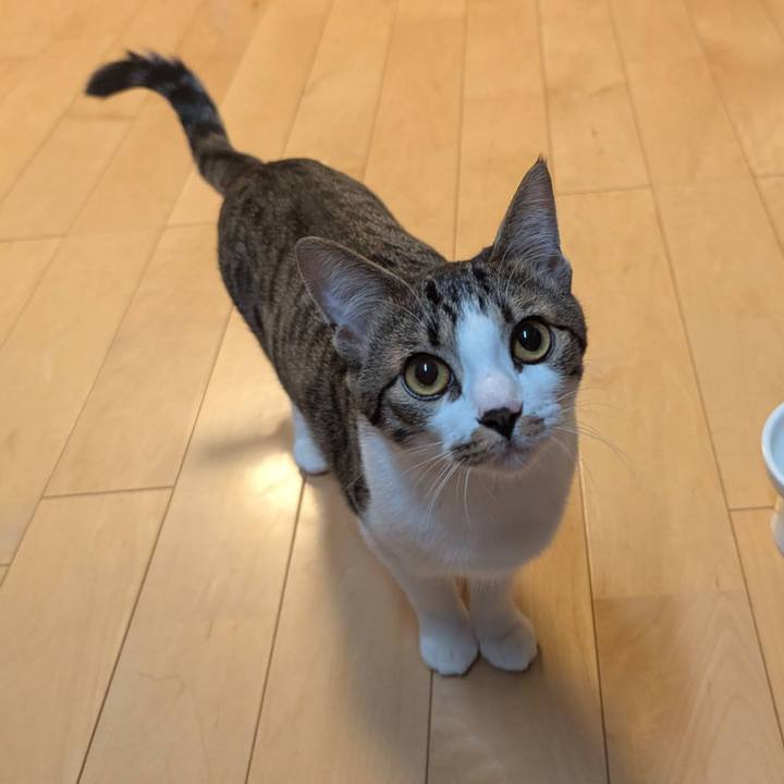 6daf91fd c024 4fd2 988d eb150d149191 1737438381117