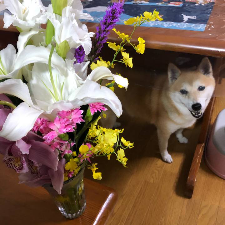 6dafa906 4c0f 44a1 8d3d 83f0cc0276d7 1596286040042