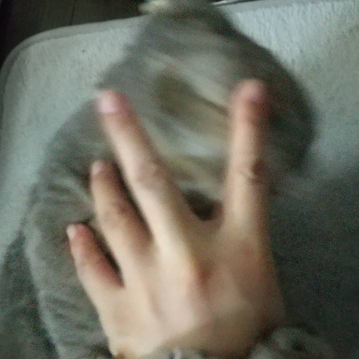 6dafb8bc 9857 42df 84b8 d4949412393b 1625366372694