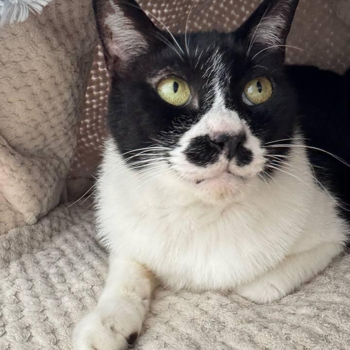 6db0062d 9a19 41c3 99f9 594f53eecc8a 1747378651531