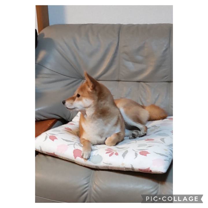 6db01d66 af9d 4d7f a7c9 849026b07b05 1675158368390