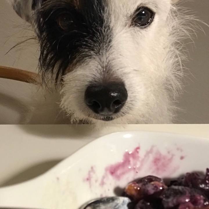 6db021fe 03a4 4822 9197 4c97e38d52ae 1535117176056